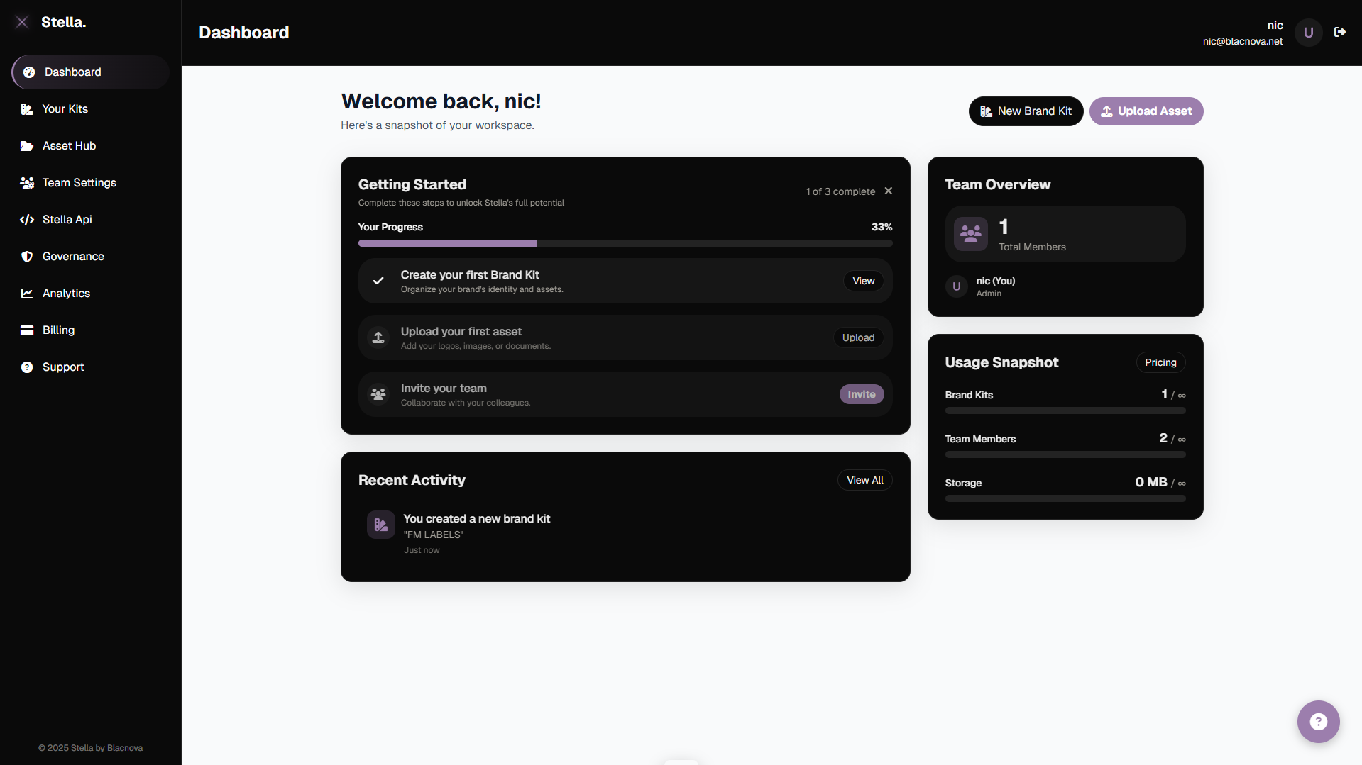 Brand Kit Hub Interface